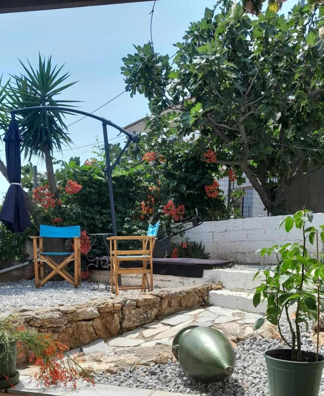 Paradise Dhaskalion المظهر الخارجي الصورة