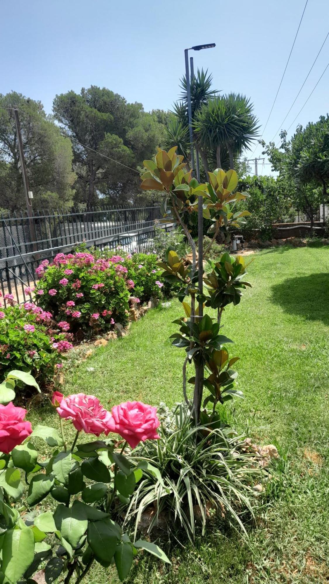 Paradise Dhaskalion المظهر الخارجي الصورة