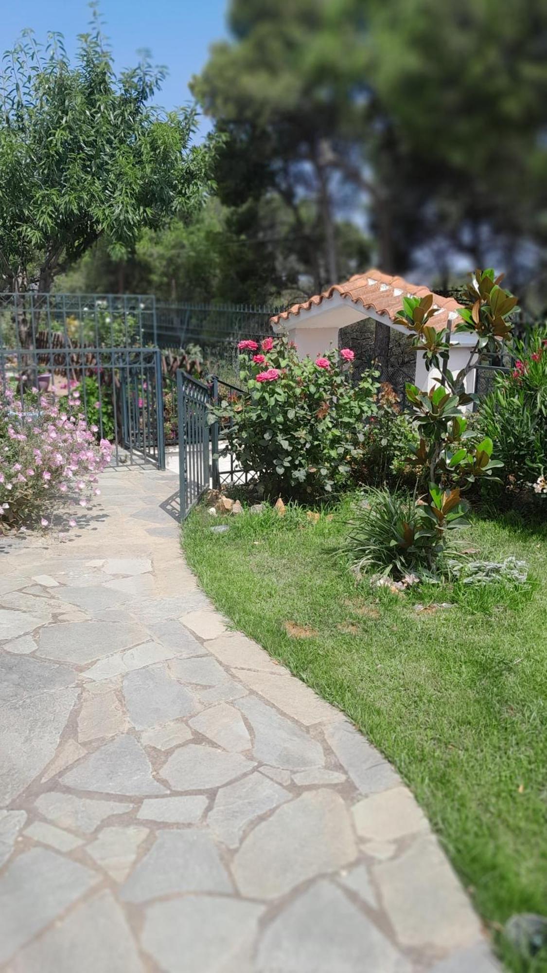 Paradise Dhaskalion المظهر الخارجي الصورة