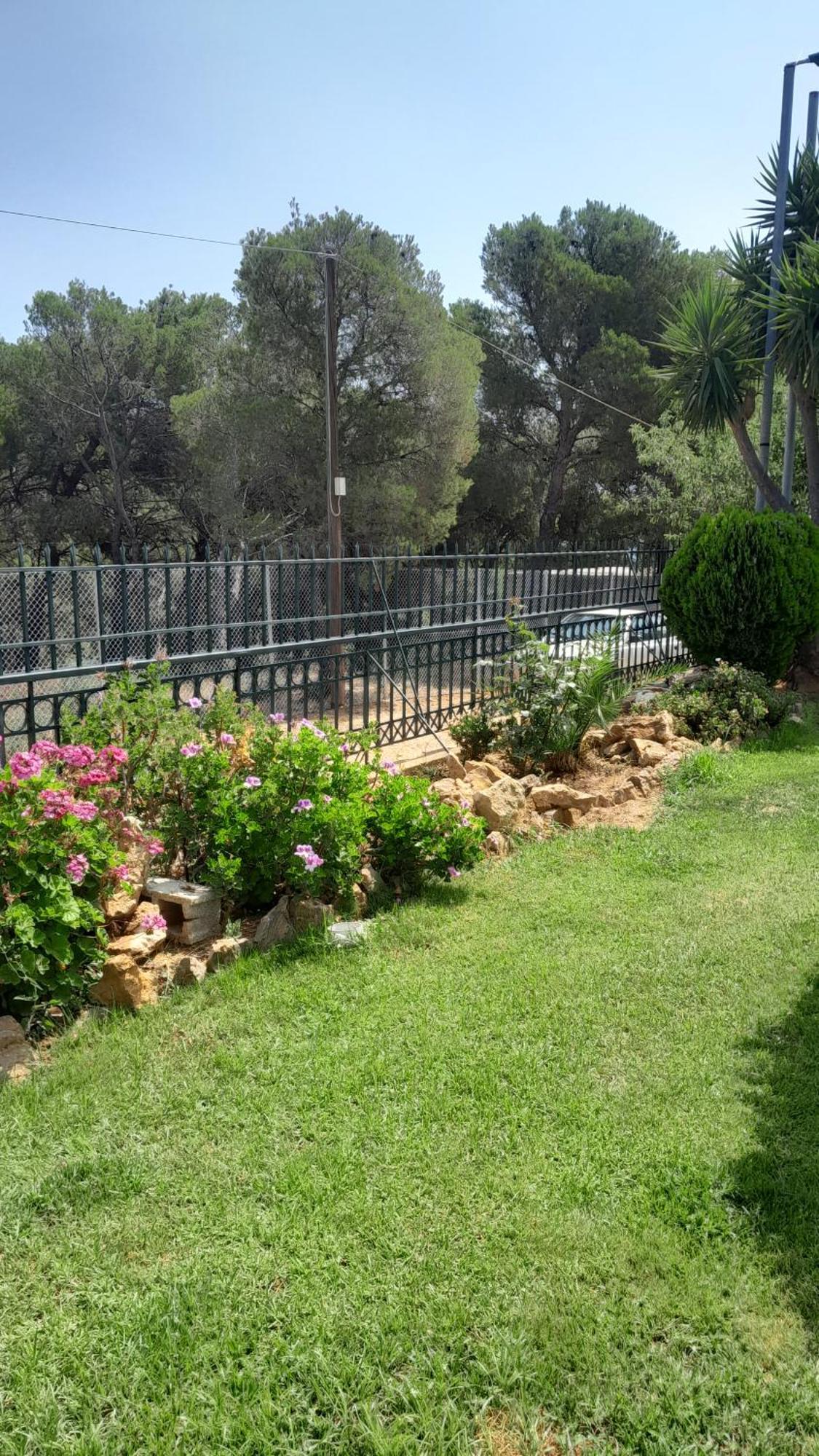Paradise Dhaskalion المظهر الخارجي الصورة